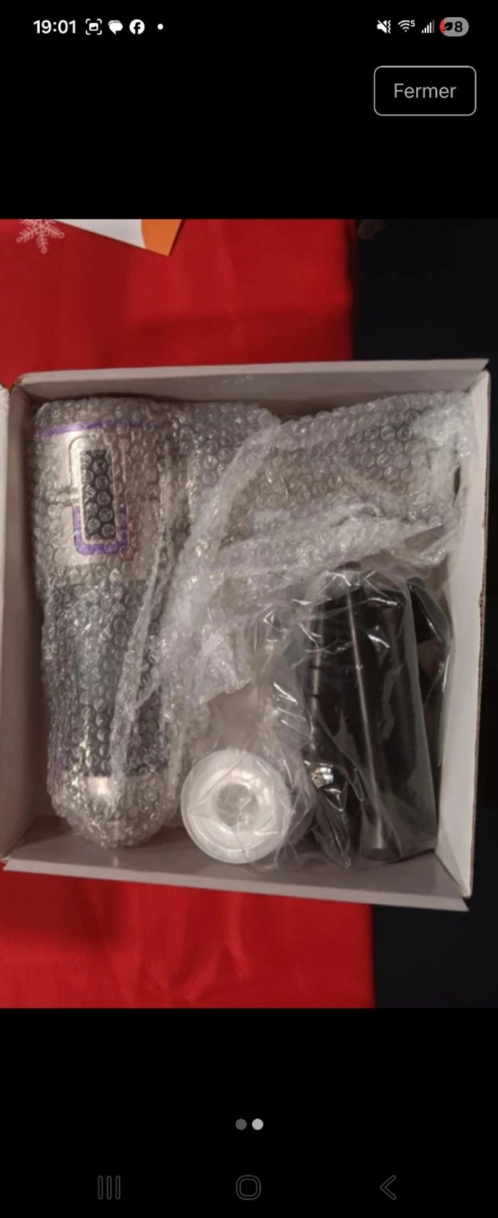 Aspirateur de voiture - photo numéro 2