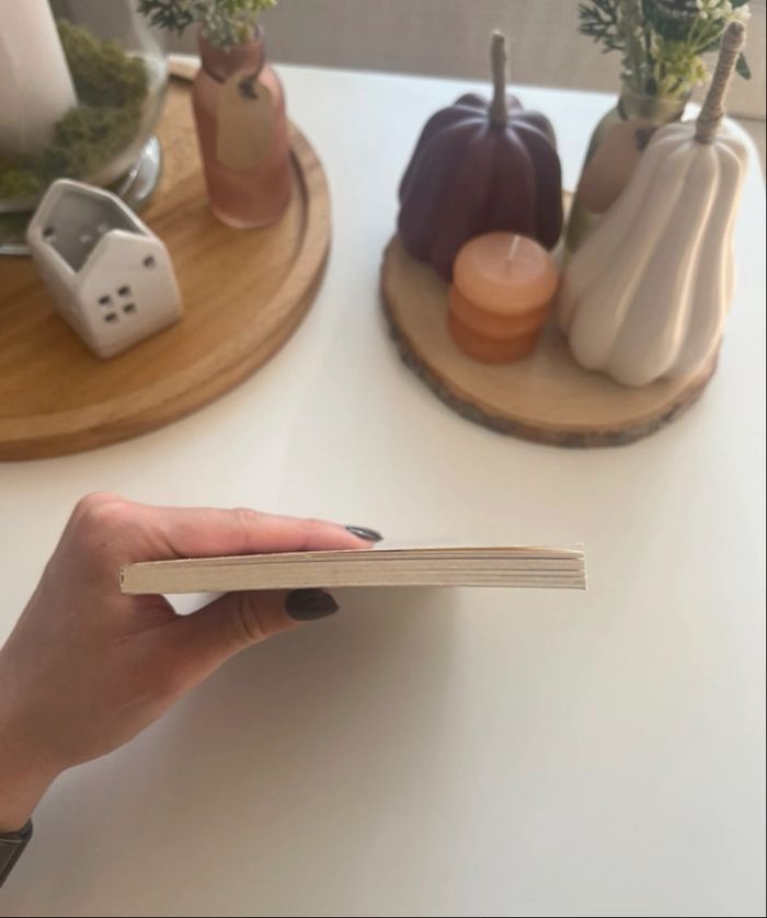 Vol sans effraction de Marie-Florence Ehret - photo numéro 4