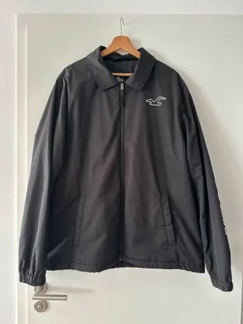 Veste Hollister Homme