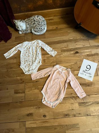 Lot 2 bodys sergent major très bon état 9 mois/71cm