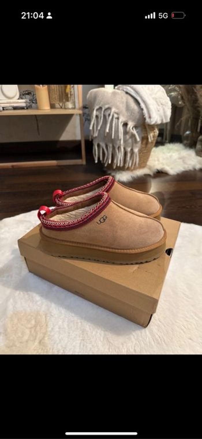 Tasman Ugg - photo numéro 2