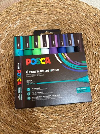 Feutres posca