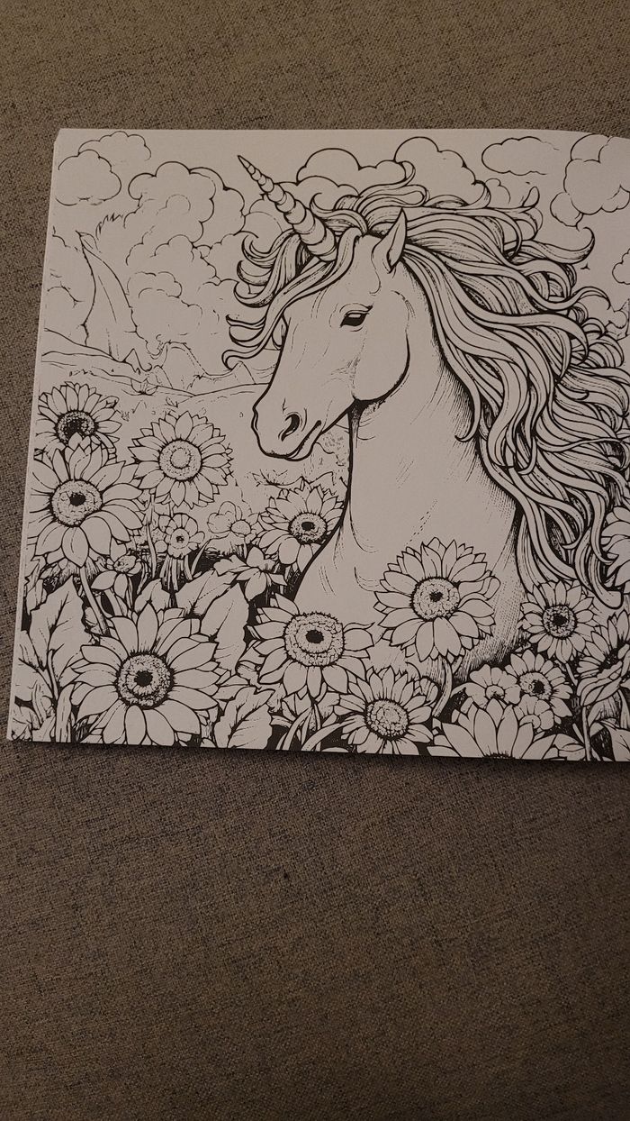 🎨 Lot de 4 Livres de Coloriage – Animaux, Voyage, Mandalas & Fleurs - photo numéro 5