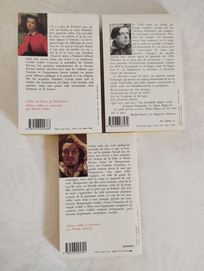 Mme Bovary/ le Horla/les mouchoirs rouges de Cholet - photo numéro 4