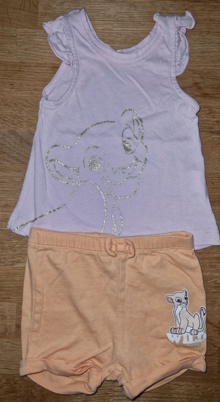 Ensemble Nala