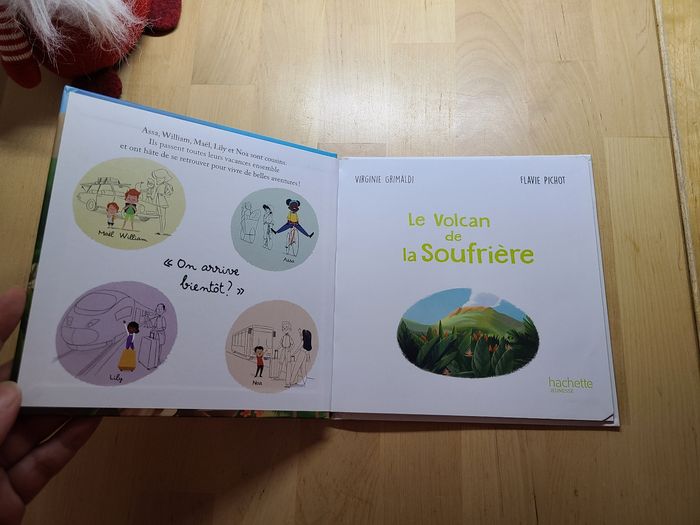 Le volcan de la soufrière - photo numéro 7