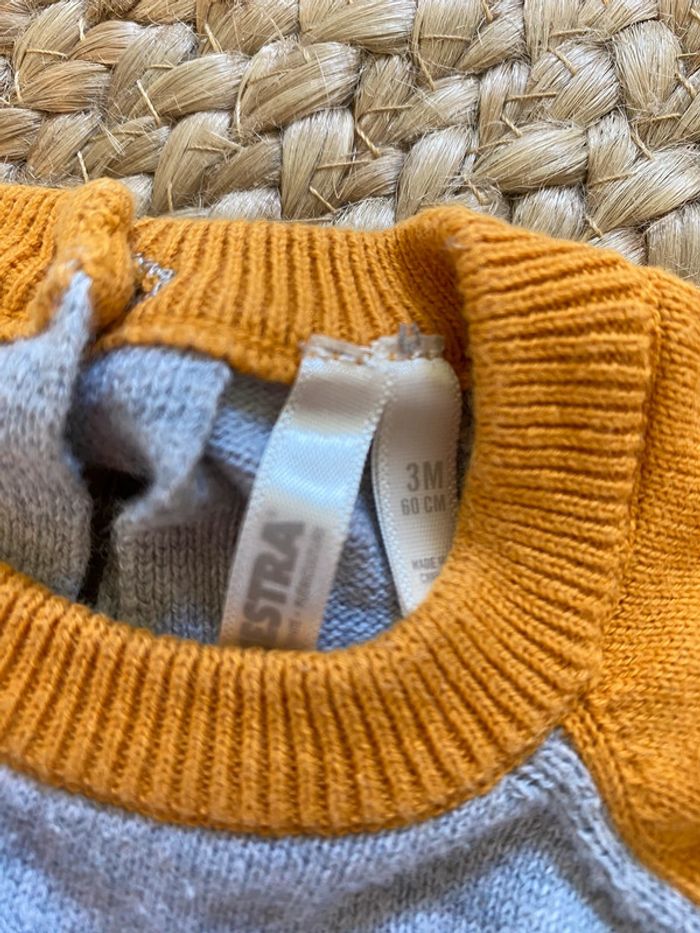Pull tigre 🐯 - photo numéro 3