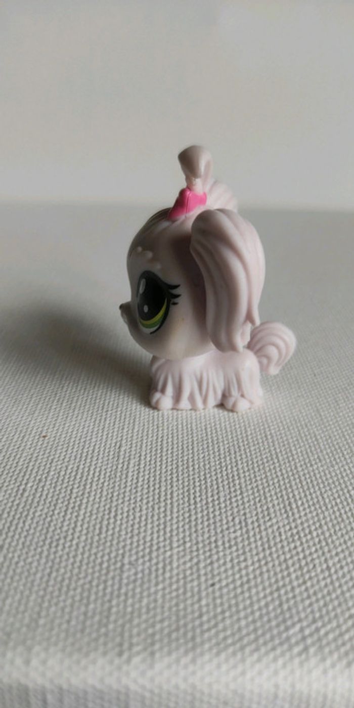 My littlest petshop chien bichon maltais 1-110 duchesse malteaser - photo numéro 5