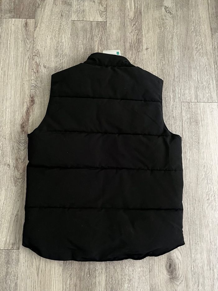 Canada goose - photo numéro 9