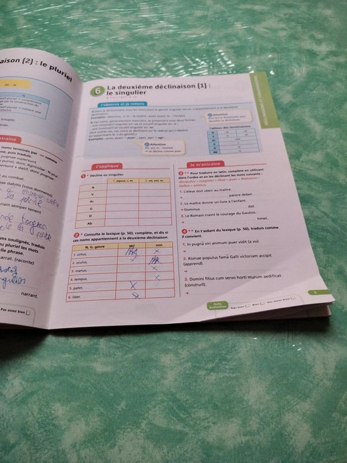 Latin - photo numéro 4