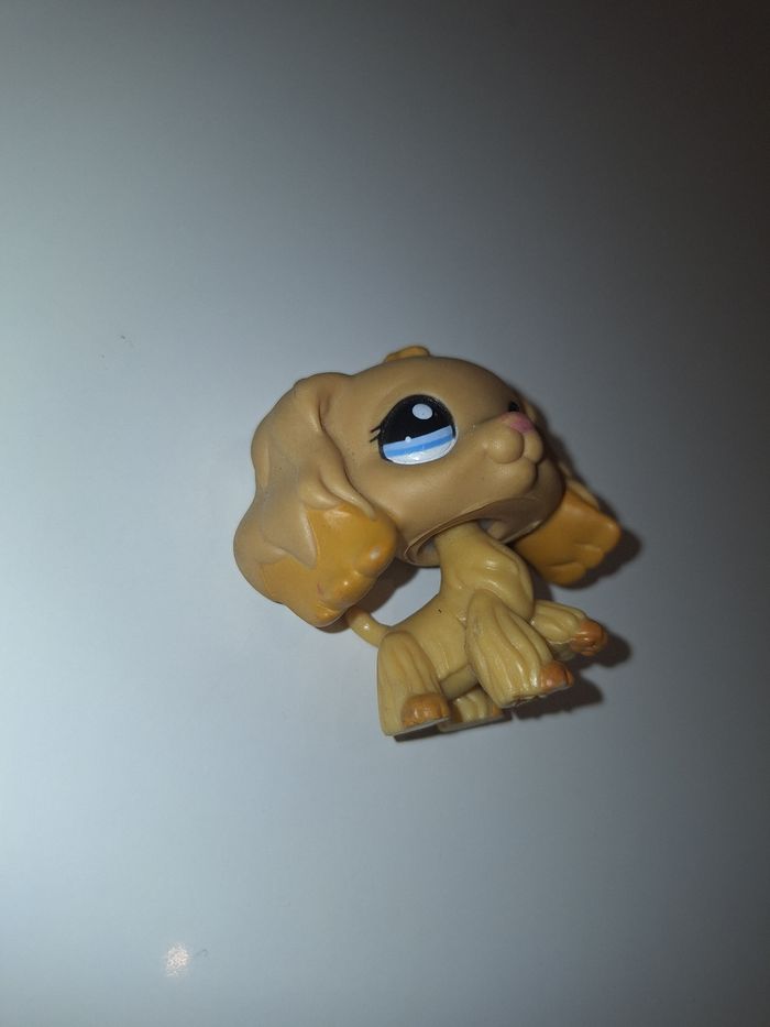 Petshop rare chien - photo numéro 4