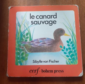 Livre enfant "Le canard sauvage"