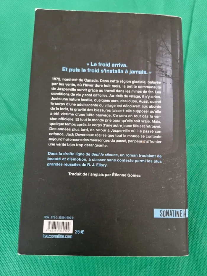 Une saison pour les ombres R.J. Ellory - photo numéro 5
