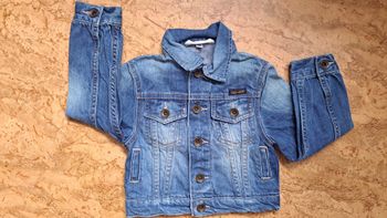 Veste teddy smith 4 ans neuve