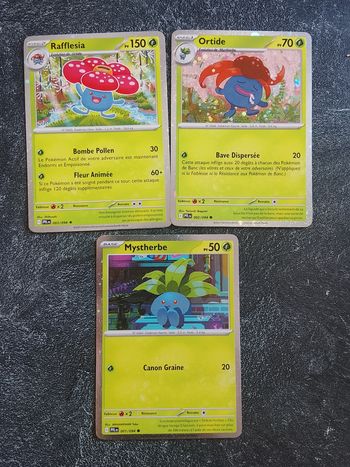 Promo duo packs 