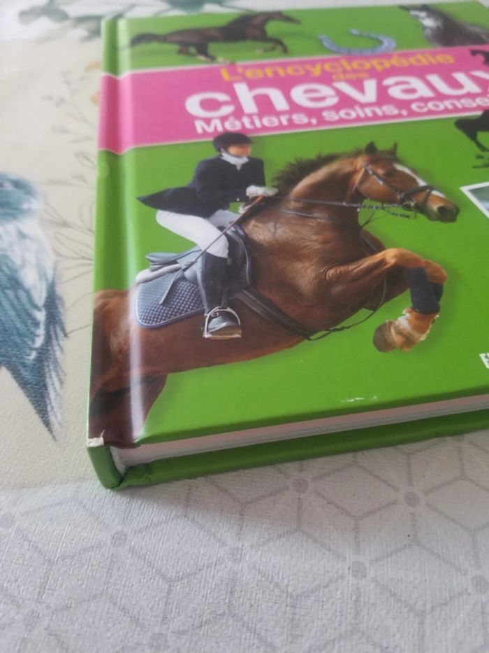 Encyclopédie des chevaux. - photo numéro 4