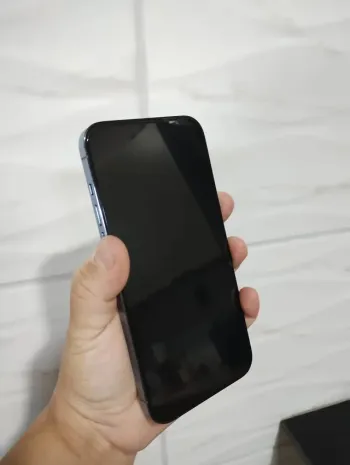 iPhone 13 Pro Max · 256 Go · Bleu