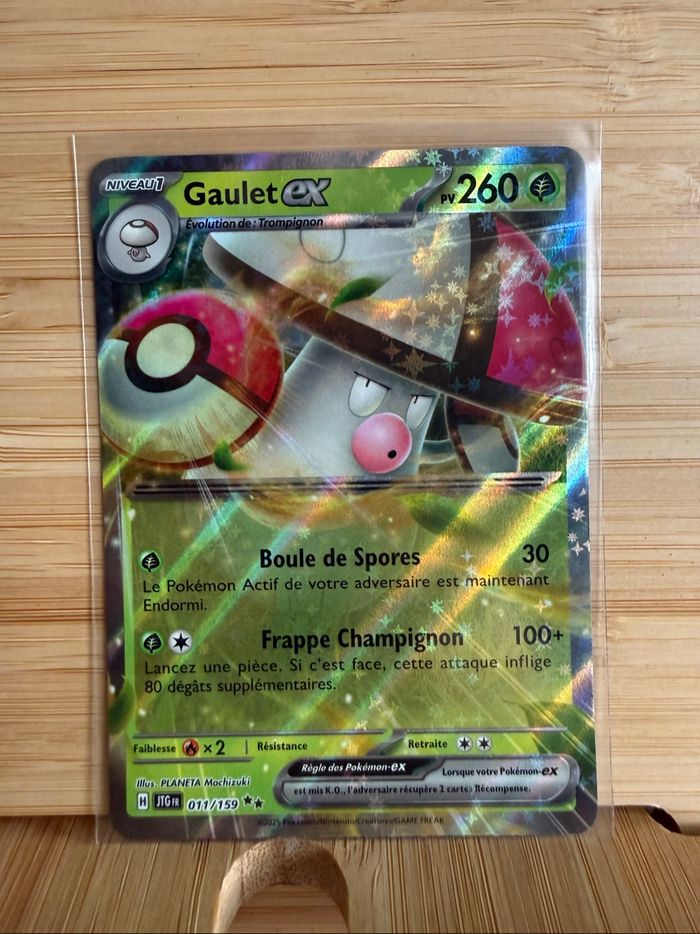 Gaulet ex 011