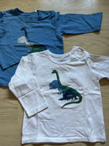 Lot 2 t-shirt manches longues esprit 12 mois