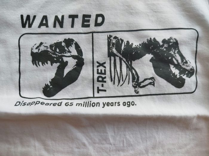 Lot tee shirt manches longues - photo numéro 2