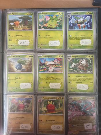 Carte Pokémon type plante