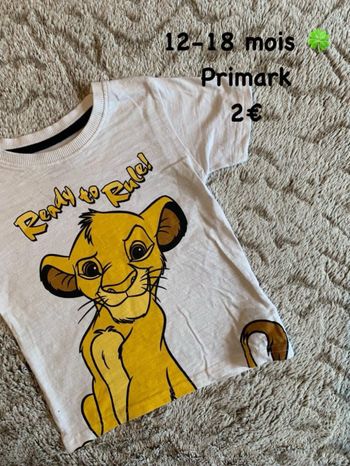 T-shirt 🍀 12-18 mois 🍀 Primark