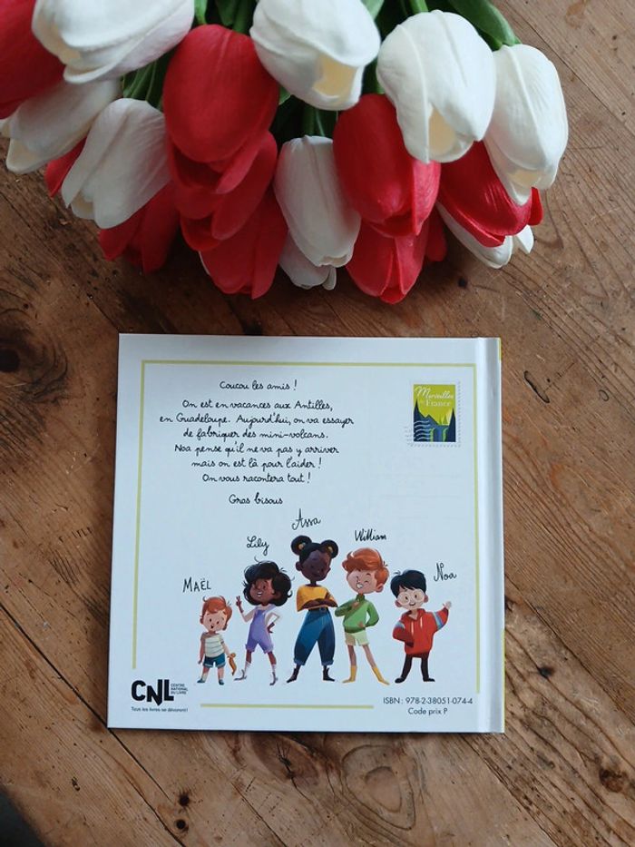 Le volcan de la Soufrière - photo numéro 2