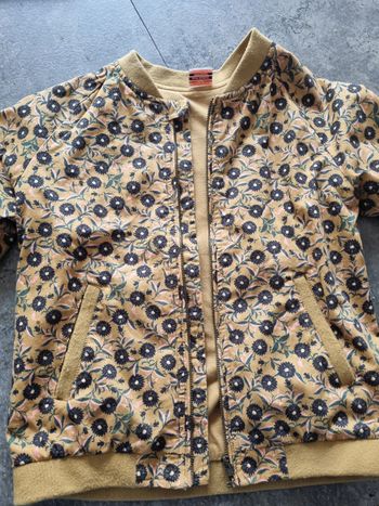 Veste