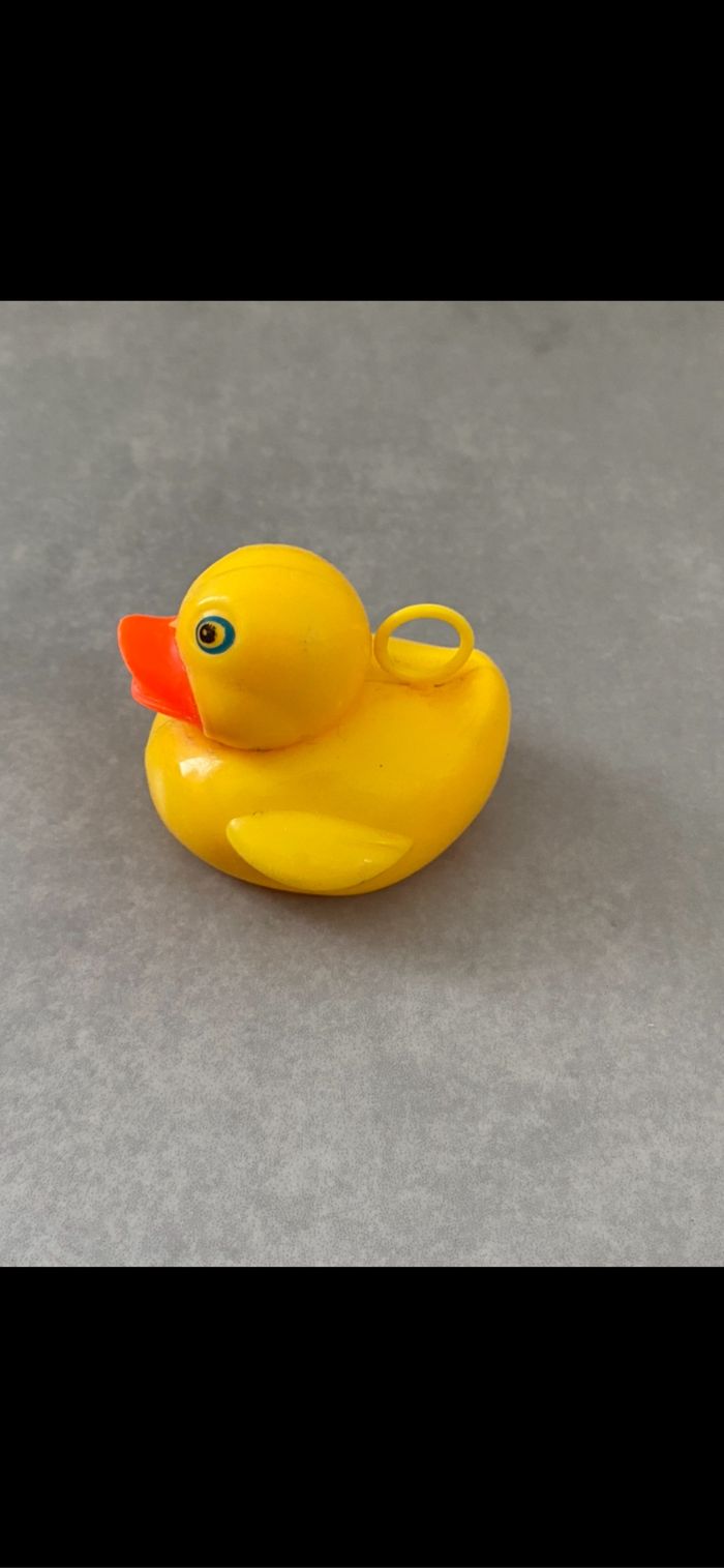 Canard pêche au canard - photo numéro 4