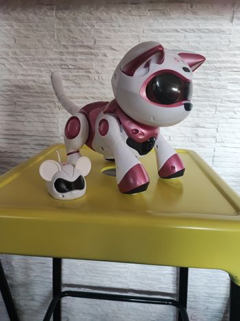 Chat robot