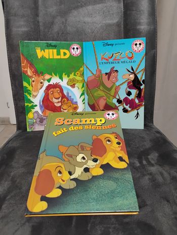 📚 Lot de livres Disney – Très bon état