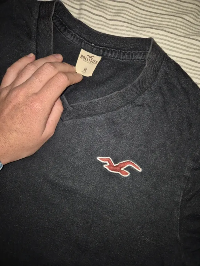 Tee shirt Hollister