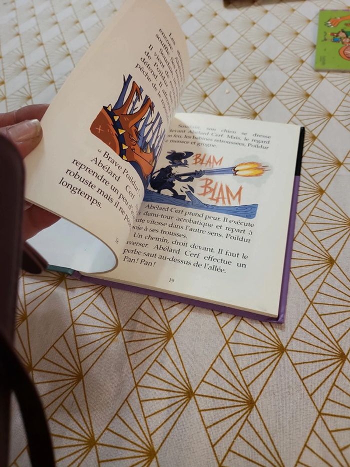 Livre - photo numéro 4