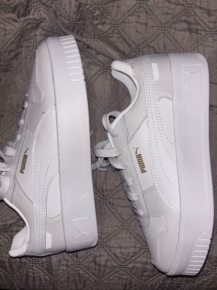 Puma Carina - photo numéro 4
