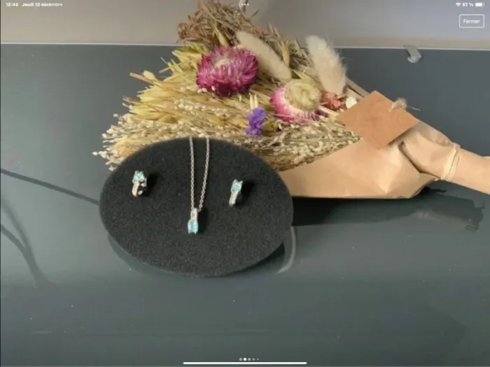 #c-delaparuredebijoux
