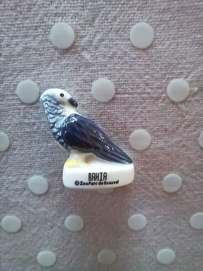 Fève Bahia zoo de Beauval