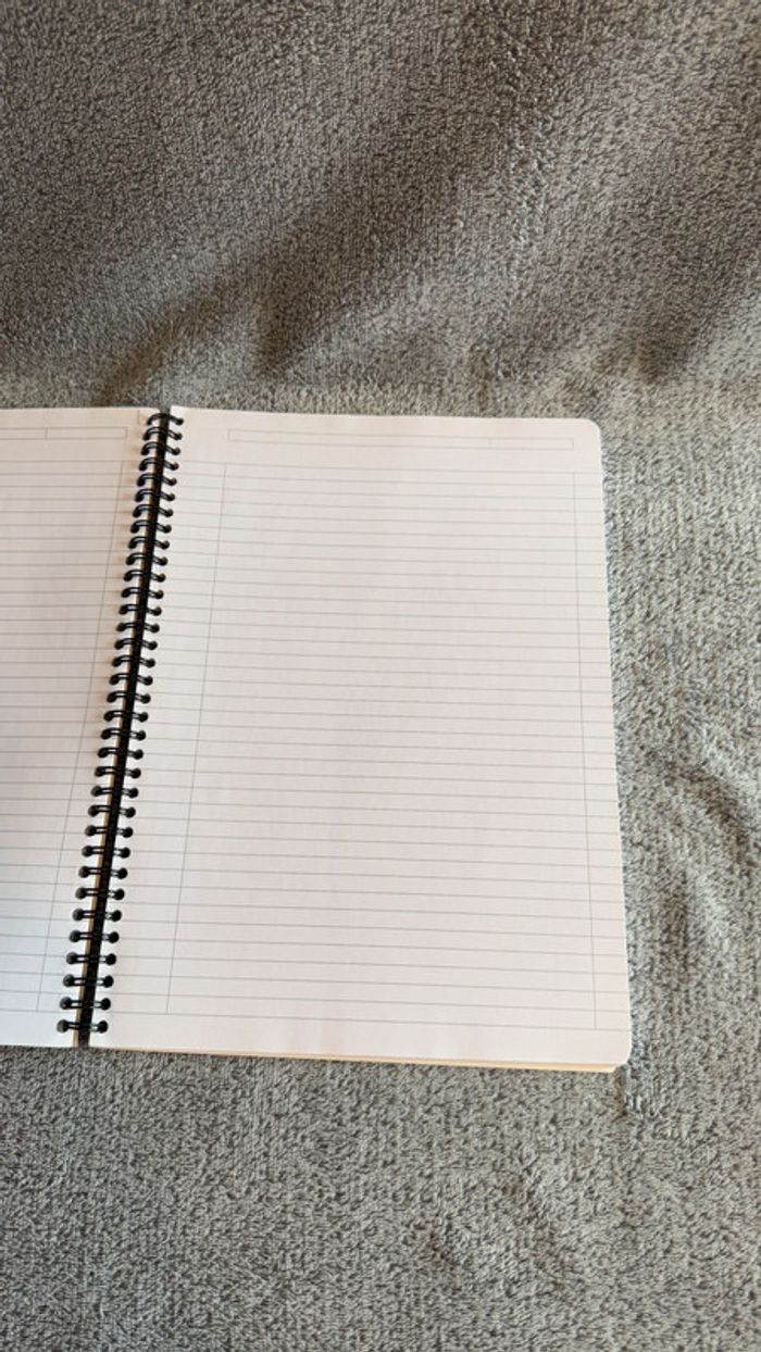 Cahier Oxford A4 spirales lignes - photo numéro 4
