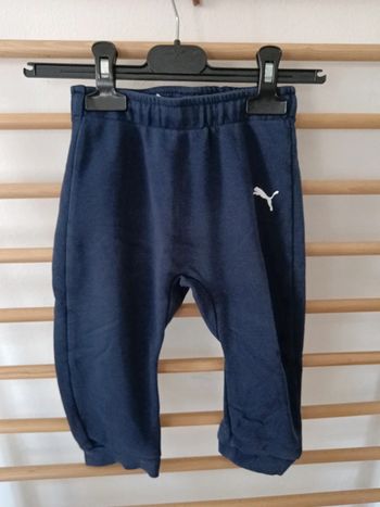 Jogging puma