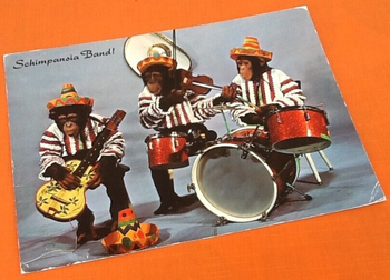 Carte postale Zurich (Suisse) Schimpansia Band ! (1974)