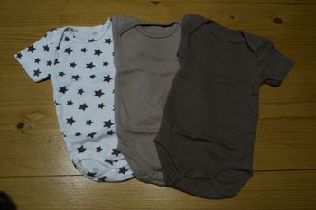 lot bodies