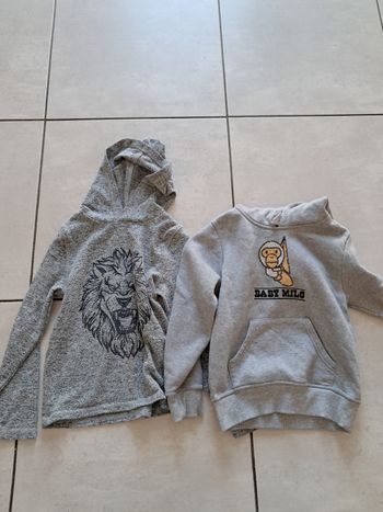 Veste 