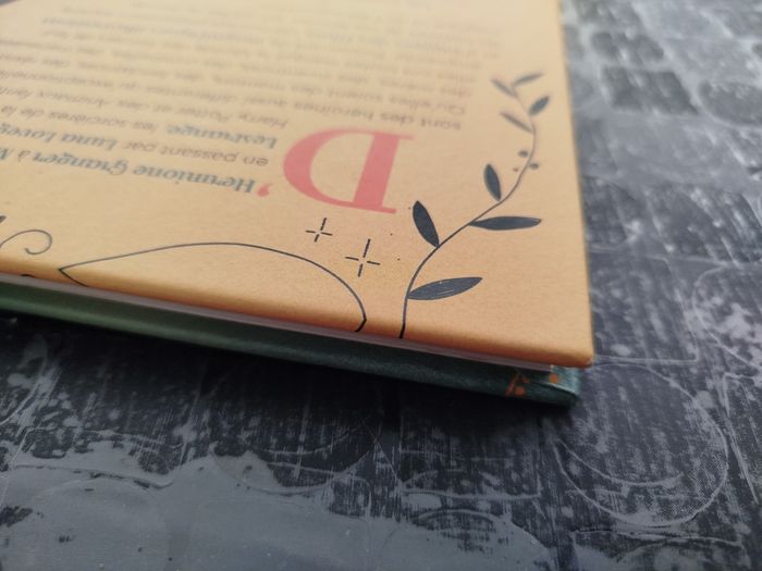 Livre "Fières d'être sorcières !" - Harry Potter - photo numéro 7