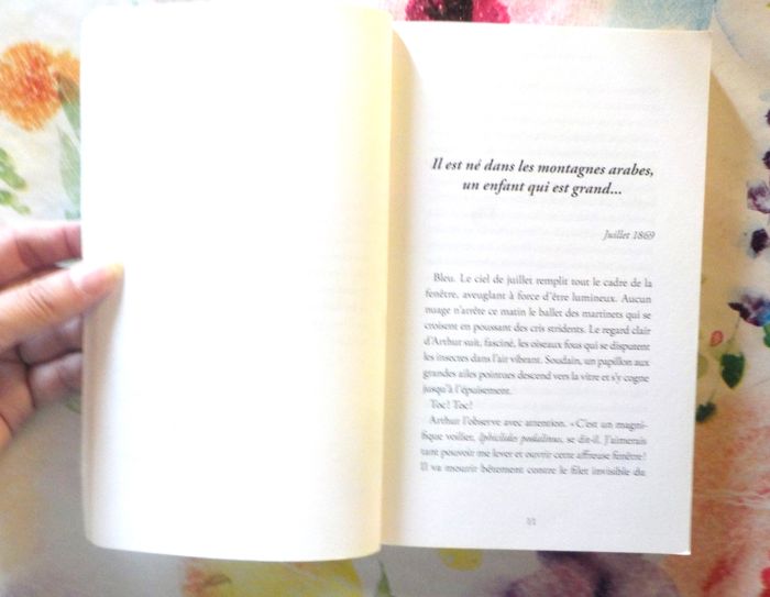 UN ADO NOMME RIMBAUD de Sophie DOUDET Ed. Scrinéo - photo numéro 7