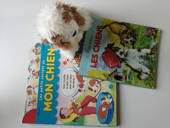 lot livre et peluche chien