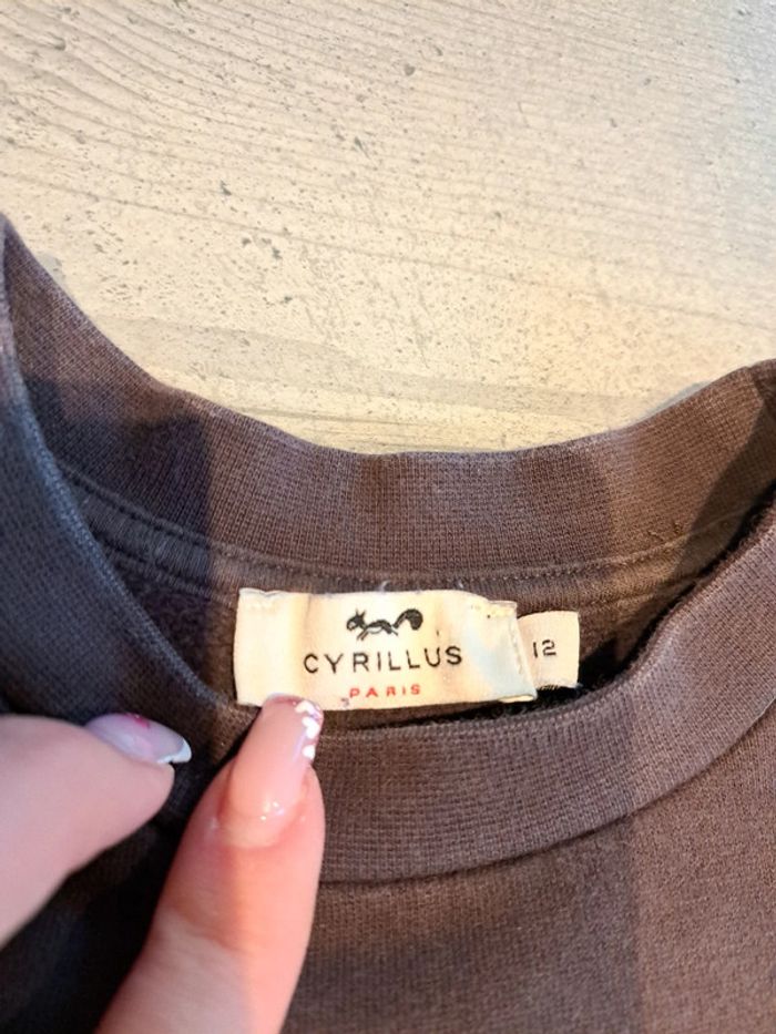 Jolie Pull - photo numéro 3