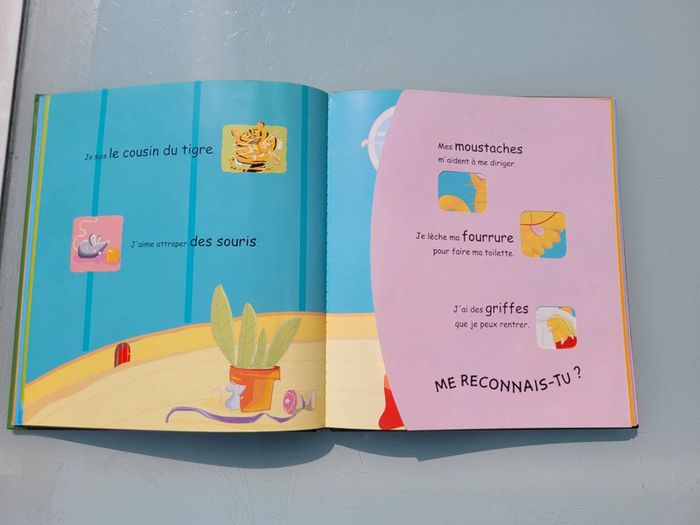 Les devinettes des P'tits incollables 🐈 Trouvinettes 🐹 Les Animaux de la maison 🐢 (90) - photo numéro 7