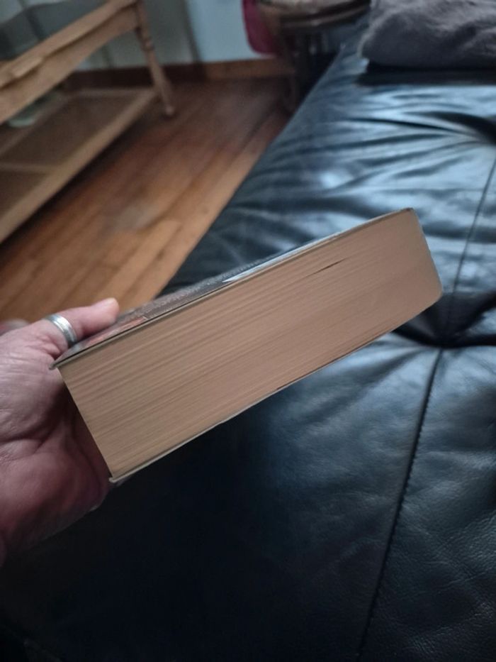 la fiancée de Dante de Natasha Rhodes - photo numéro 6