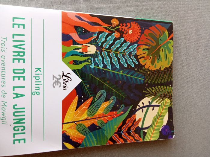 Livre - photo numéro 2