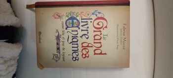 Le grand livre des enigmes