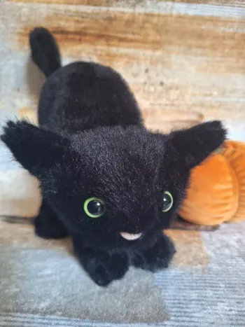 Spookipaws Cat jellycat